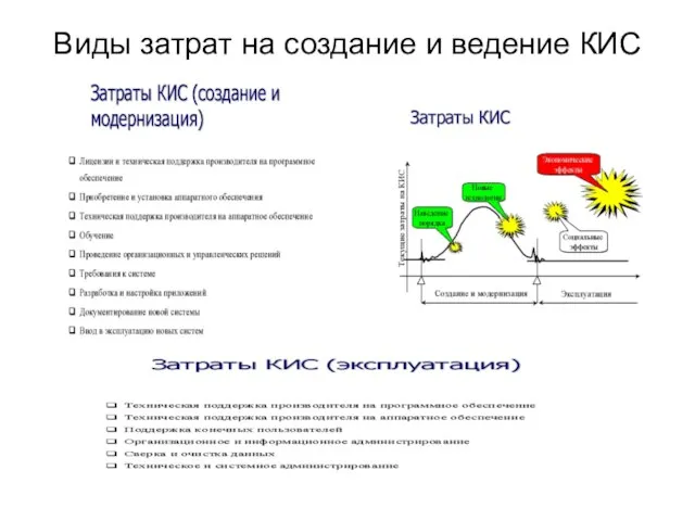 Виды затрат на создание и ведение КИС