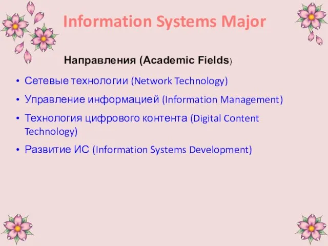 Information Systems Major Направления (Academic Fields)