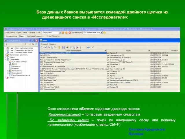 База данных банков вызывается командой двойного щелчка из древовидного списка в «Исследователе»: