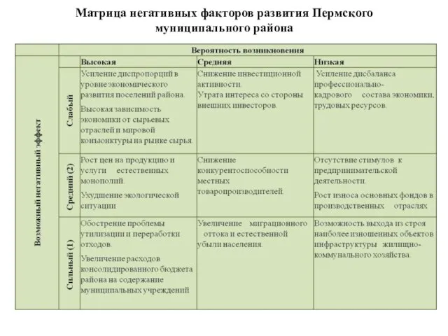 Матрица негативных факторов развития Пермского муниципального района