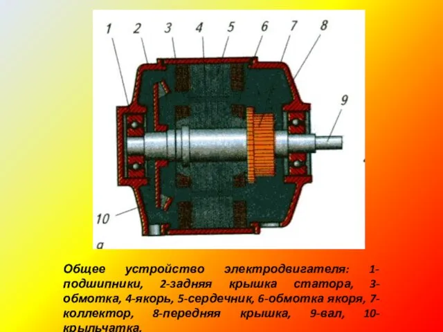 Общее устройство электродвигателя: 1-подшипники, 2-задняя крышка статора, 3-обмотка, 4-якорь, 5-сердечник, 6-обмотка якоря,