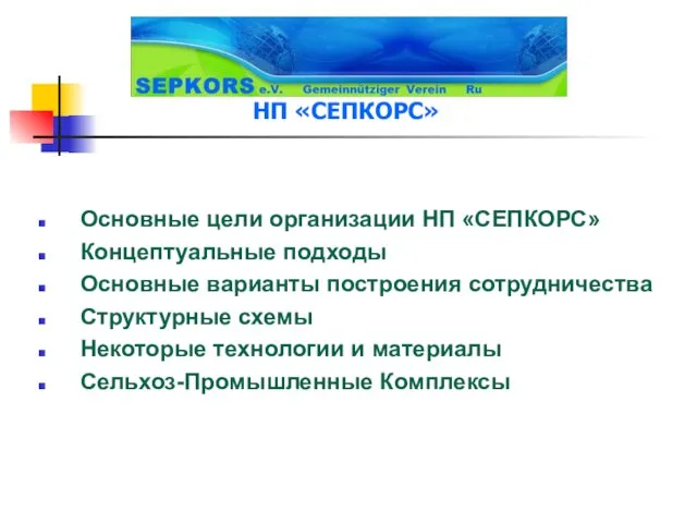 Основные цели организации НП «СЕПКОРС» Концептуальные подходы Основные варианты построения сотрудничества Структурные