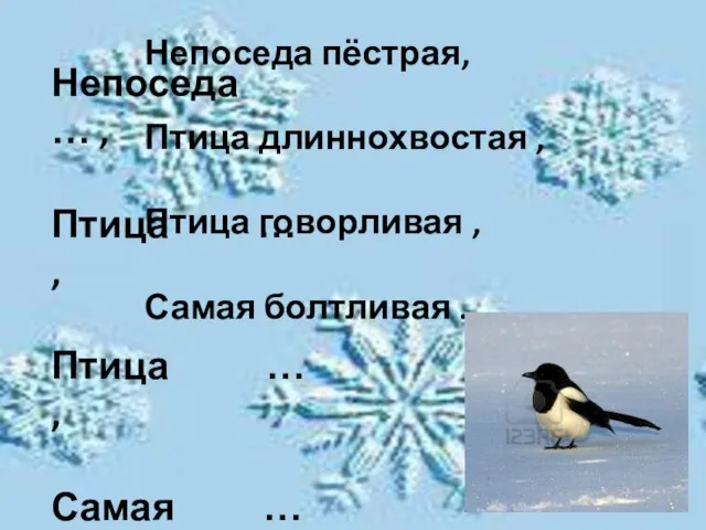 Непоседа … , Птица … , Птица … , Самая … .