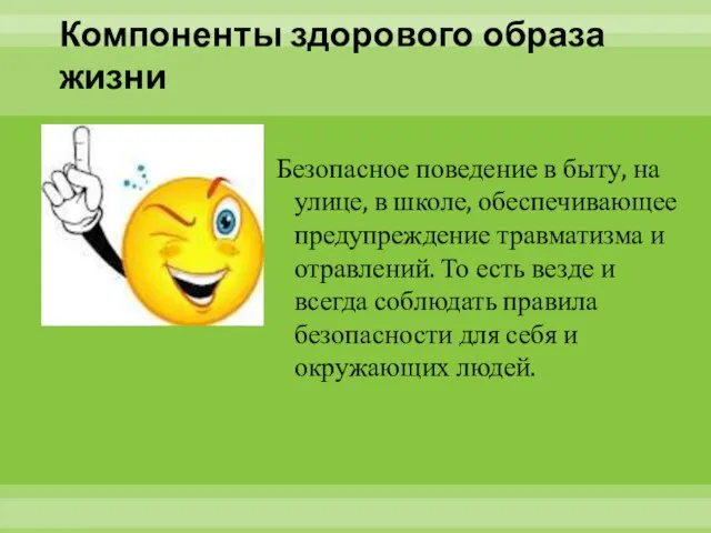 Компоненты здорового образа жизни Безопасное поведение в быту, на улице, в школе,