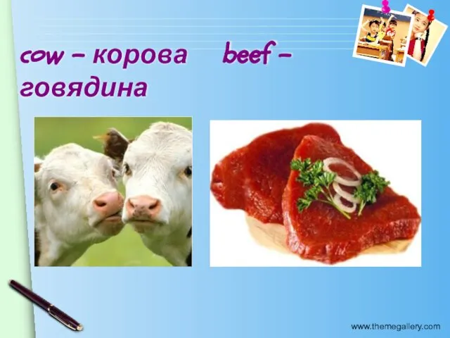 cow – корова beef - говядина