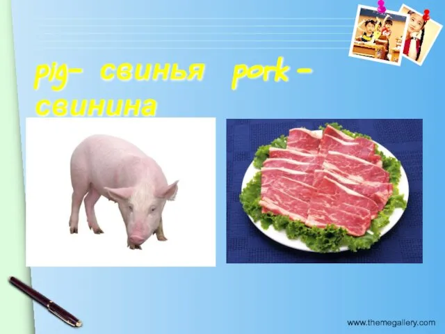 pig- свинья pork - свинина