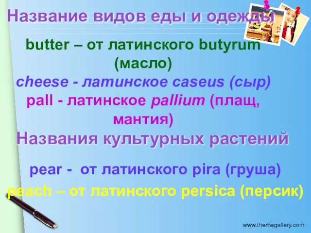 Название видов еды и одежды butter – от латинского butyrum (масло) cheese