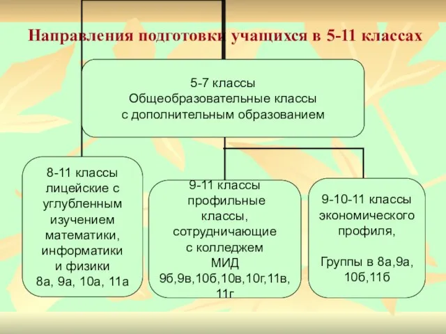 Направления подготовки учащихся в 5-11 классах