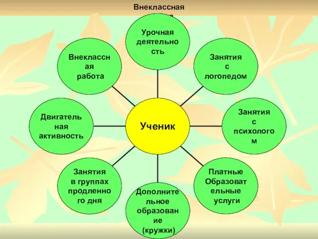 Внеклассная работа