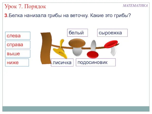 3.Белка нанизала грибы на веточку. Какие это грибы? белый подосиновик лисичка сыроежка