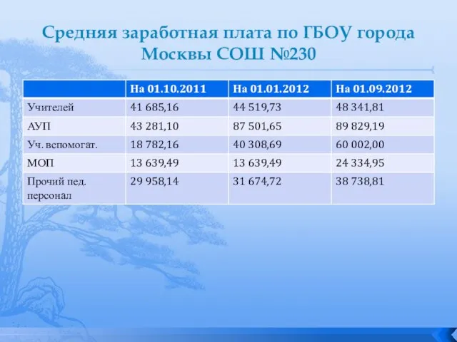 Средняя заработная плата по ГБОУ города Москвы СОШ №230