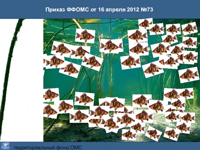 территориальный фонд ОМС Тульской области Приказ ФФОМС от 16 апреля 2012 №73