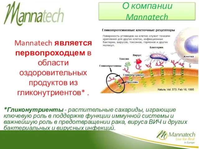 Mannatech является первопроходцем в области оздоровительных продуктов из гликонутриентов* . *Гликонутриенты -