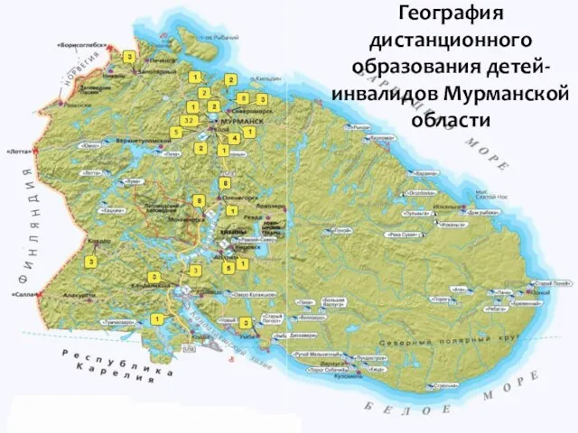 География дистанционного образования детей-инвалидов Мурманской области