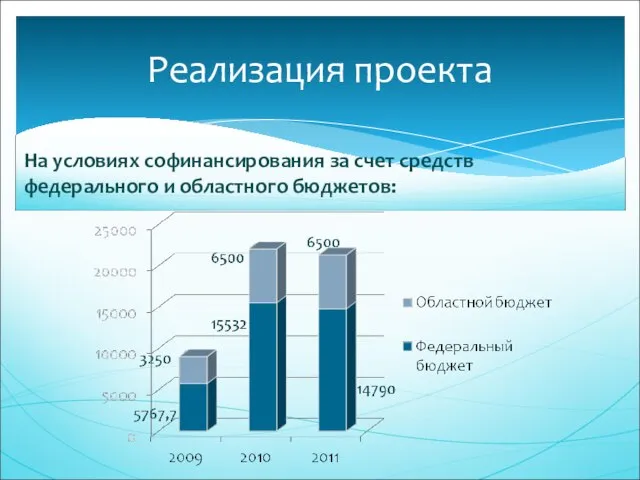 На условиях софинансирования за счет средств федерального и областного бюджетов: Реализация проекта