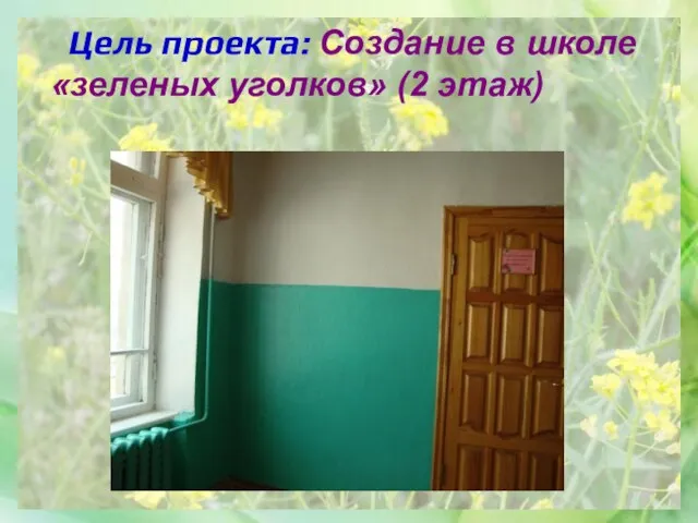 Цель проекта: Создание в школе «зеленых уголков» (2 этаж)