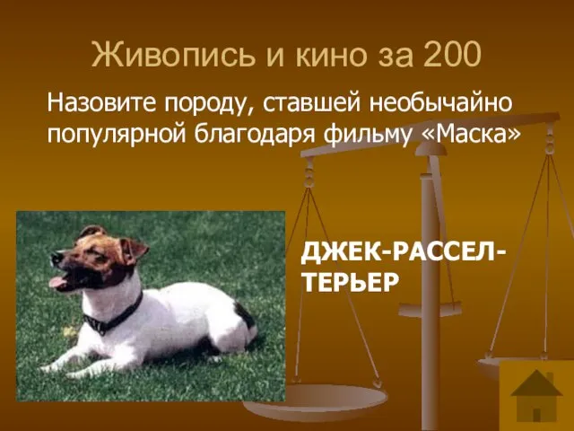 Живопись и кино за 200 Назовите породу, ставшей необычайно популярной благодаря фильму «Маска» ДЖЕК-РАССЕЛ-ТЕРЬЕР