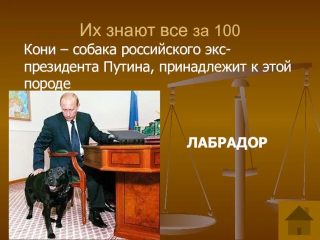 Их знают все за 100 Кони – собака российского экс-президента Путина, принадлежит к этой породе ЛАБРАДОР