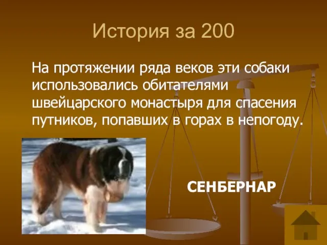 История за 200 На протяжении ряда веков эти собаки использовались обитателями швейцарского