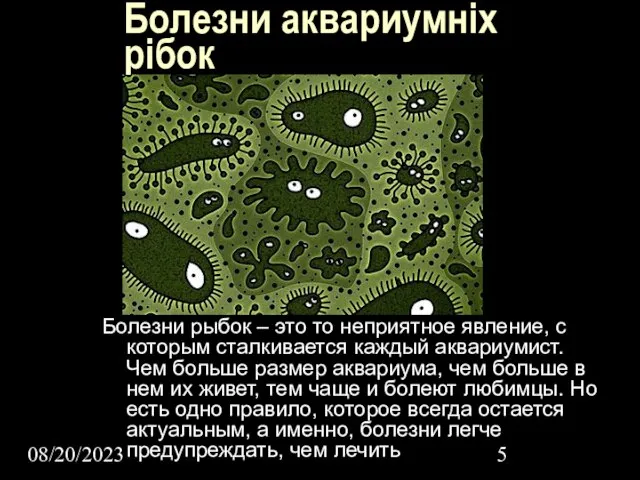 08/20/2023 Болезни аквариумніх рібок Болезни рыбок – это то неприятное явление, с