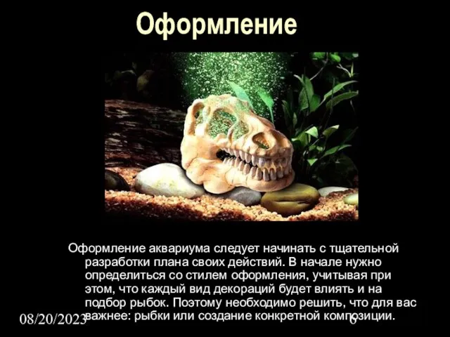 08/20/2023 Оформление Оформление аквариума следует начинать с тщательной разработки плана своих действий.