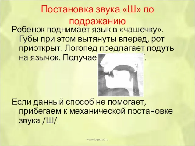 Постановка звука «Ш» по подражанию Ребенок поднимает язык в «чашечку». Губы при