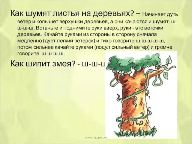 Как шумят листья на деревьях? – Начинает дуть ветер и колышет верхушки