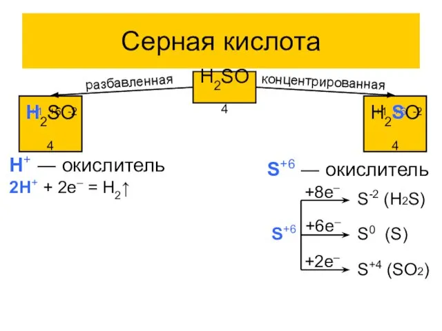 Серная кислота H2SO4 H2SO4 +1 +6 -2 H2SO4 +1 +6 -2 разбавленная