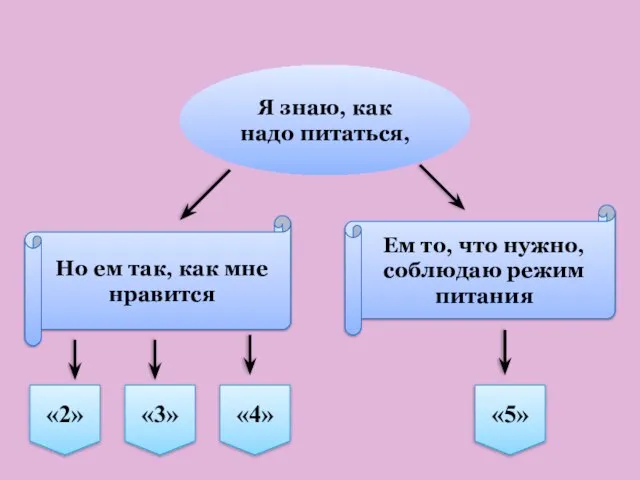 Я знаю, как надо питаться, Ем то, что нужно, соблюдаю режим питания