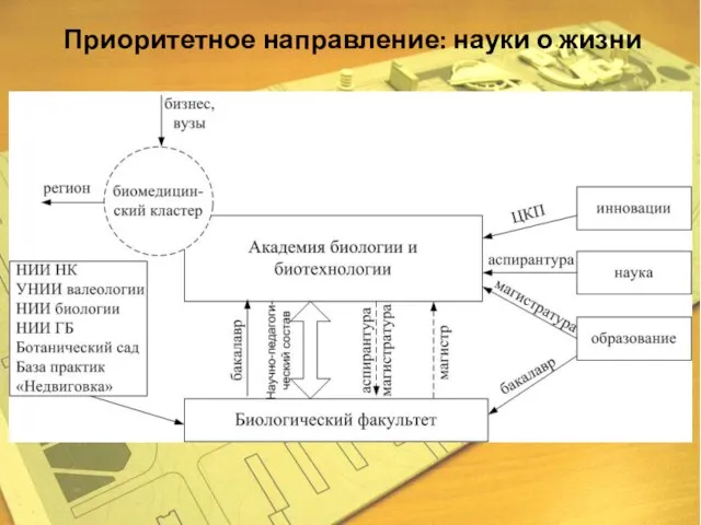 Приоритетное направление: науки о жизни