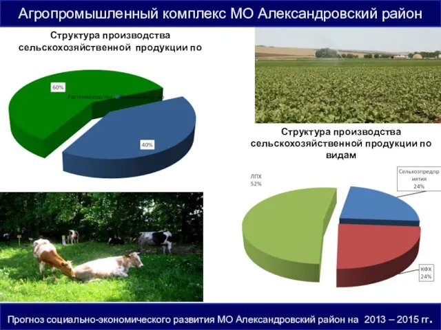 Прогноз социально-экономического развития МО Александровский район на 2013 – 2015 гг. Структура