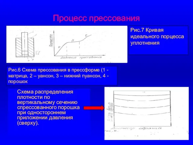 Процесс прессования Схема распределения плотности по вертикальному сечению спрессованного порошка при одностороннем