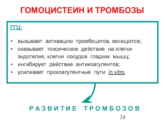 ГОМОЦИСТЕИН И ТРОМБОЗЫ ГГЦ: вызывает активацию тромбоцитов, моноцитов; оказывает токсическое действие на