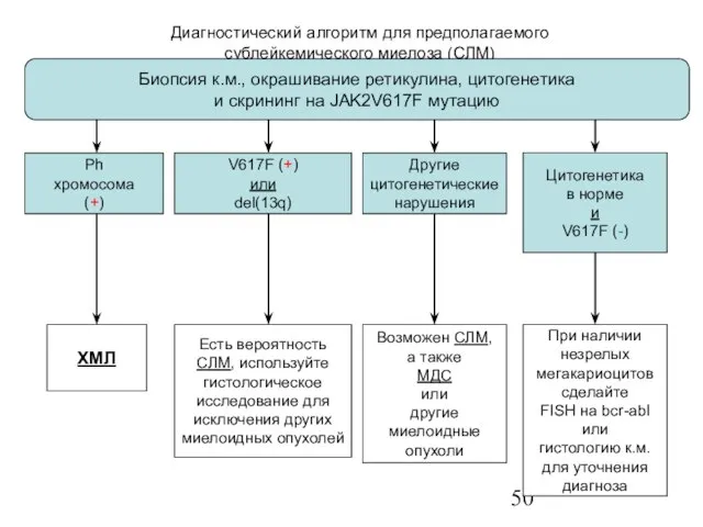 Диагностический алгоритм для предполагаемого сублейкемического миелоза (СЛМ) Другие цитогенетические нарушения Ph хромосома