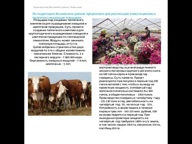 Характеристика Кашинского района / Инвестиции Площадка под создание тепличного комплекса для выращивания