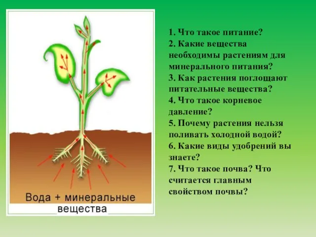 1. Что такое питание? 2. Какие вещества необходимы растениям для минерального питания?