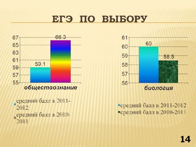 ЕГЭ ПО ВЫБОРУ