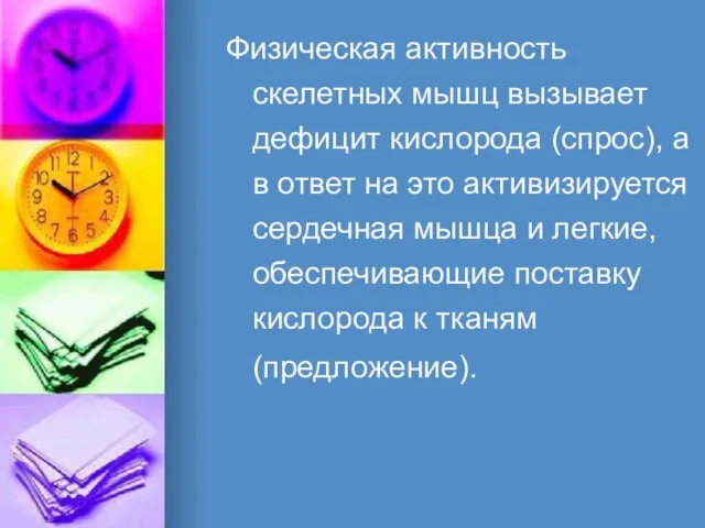 Физическая активность скелетных мышц вызывает дефицит кислорода (спрос), а в ответ на