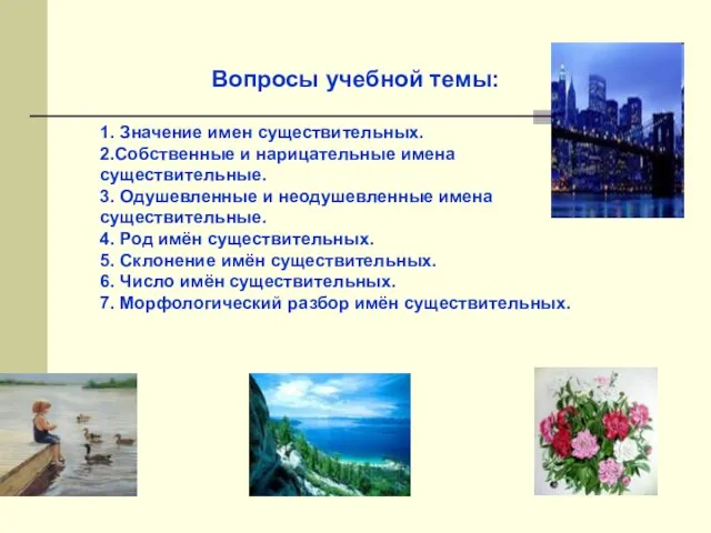 Вопросы учебной темы: 1. Значение имен существительных. 2.Собственные и нарицательные имена существительные.