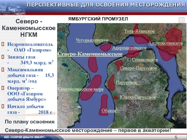 Недропользователь - ОАО «Газпром» Запасы газа - 349,3 млрд. м3 Максимальная добыча