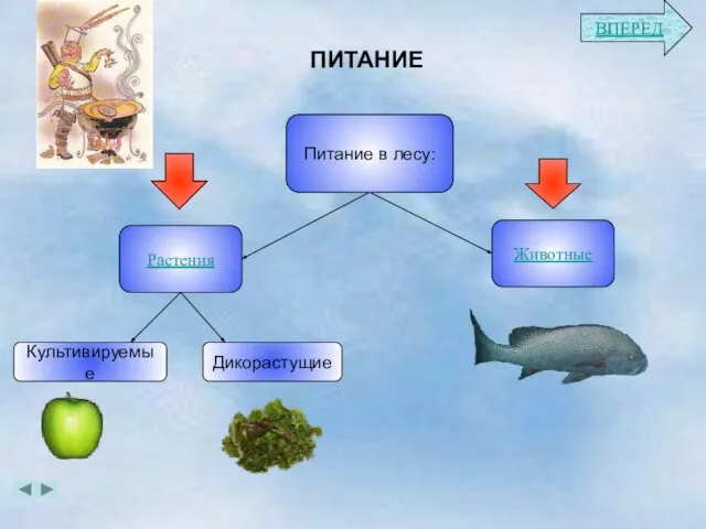 ПИТАНИЕ Растения Животные Питание в лесу: Культивируемые Дикорастущие ВПЕРЕД