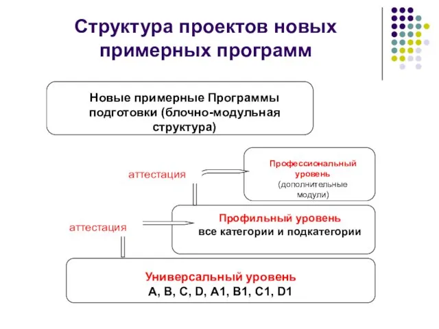 Структура проектов новых примерных программ Универсальный уровень А, В, С, D, А1,