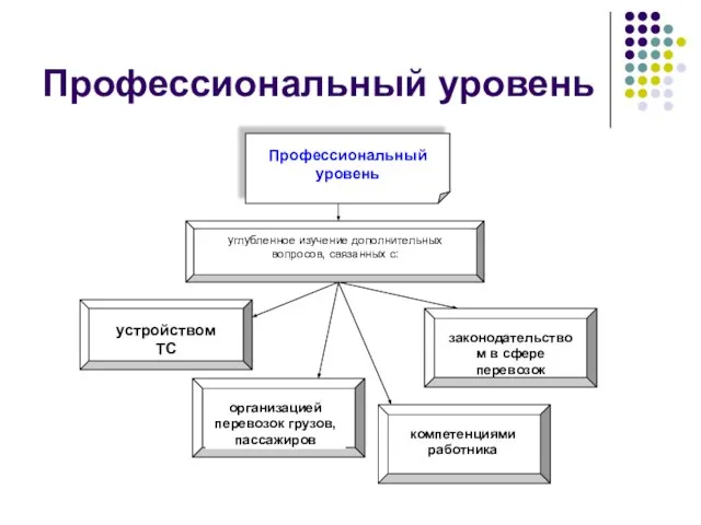 Профессиональный уровень устройством ТС Профессиональный уровень углубленное изучение дополнительных вопросов, связанных с: