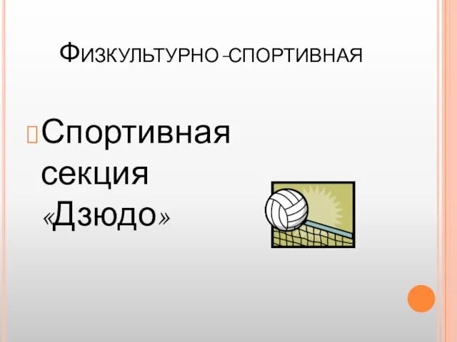 Физкультурно-спортивная Спортивная секция «Дзюдо»