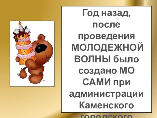 Год назад, после проведения МОЛОДЕЖНОЙ ВОЛНЫ было создано МО САМИ при администрации Каменского городского поселения