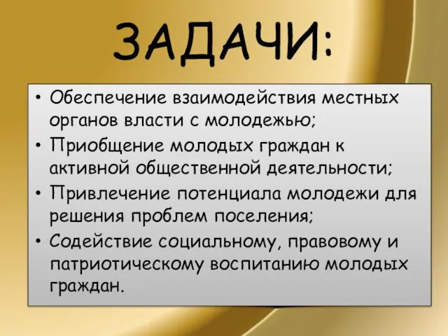 ЗАДАЧИ: Обеспечение взаимодействия местных органов власти с молодежью; Приобщение молодых граждан к