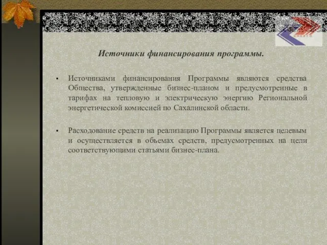 Социальная программа ОАО «Сахалинэнерго» Источники финансирования программы. Источниками финансирования Программы являются средства