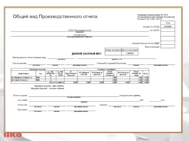 Общий вид Производственного отчета