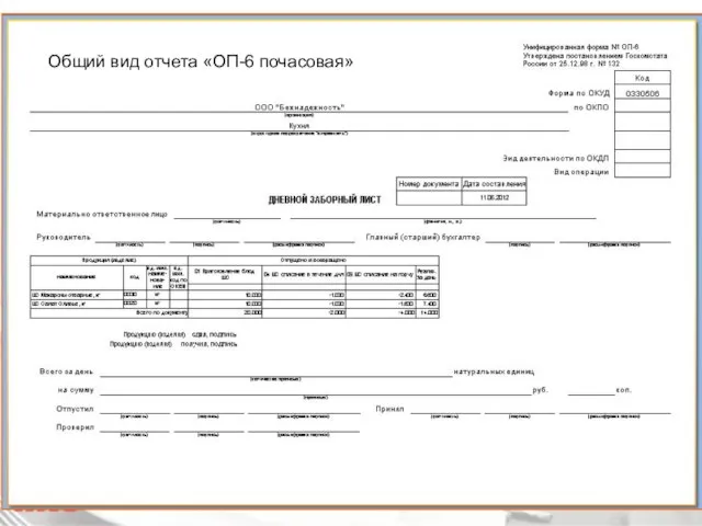 Общий вид отчета «ОП-6 почасовая»