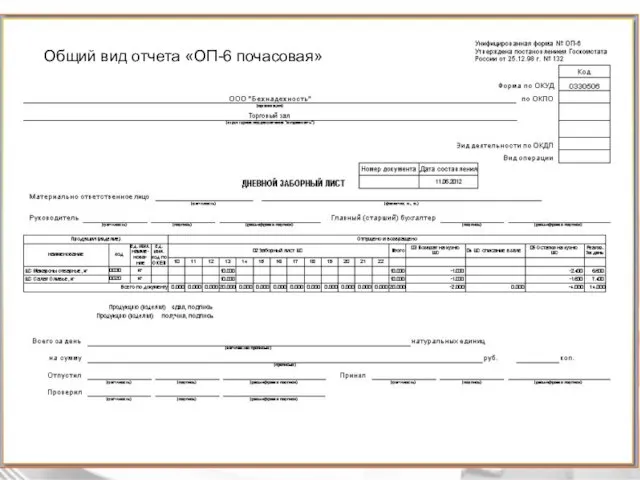 Общий вид отчета «ОП-6 почасовая»